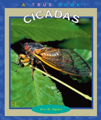 cicadas这本书不错哟强烈推荐